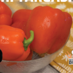 Pui Shanghai crocant cu sos dulce-picant – rețetă simplă